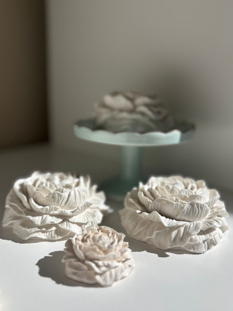 Aroma Stone Gift Set — Evening Serenity