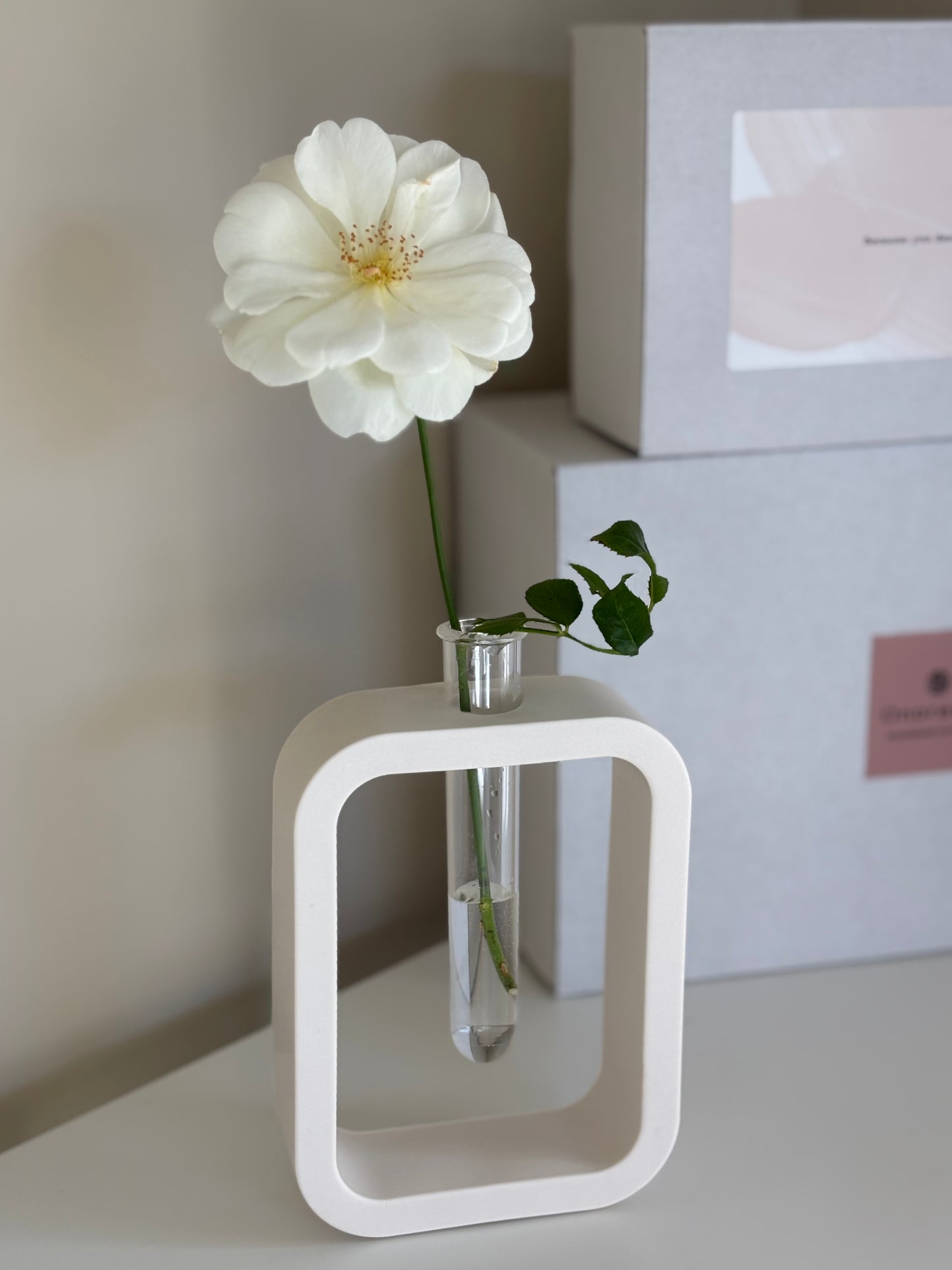 Frame – Rectangular Vase