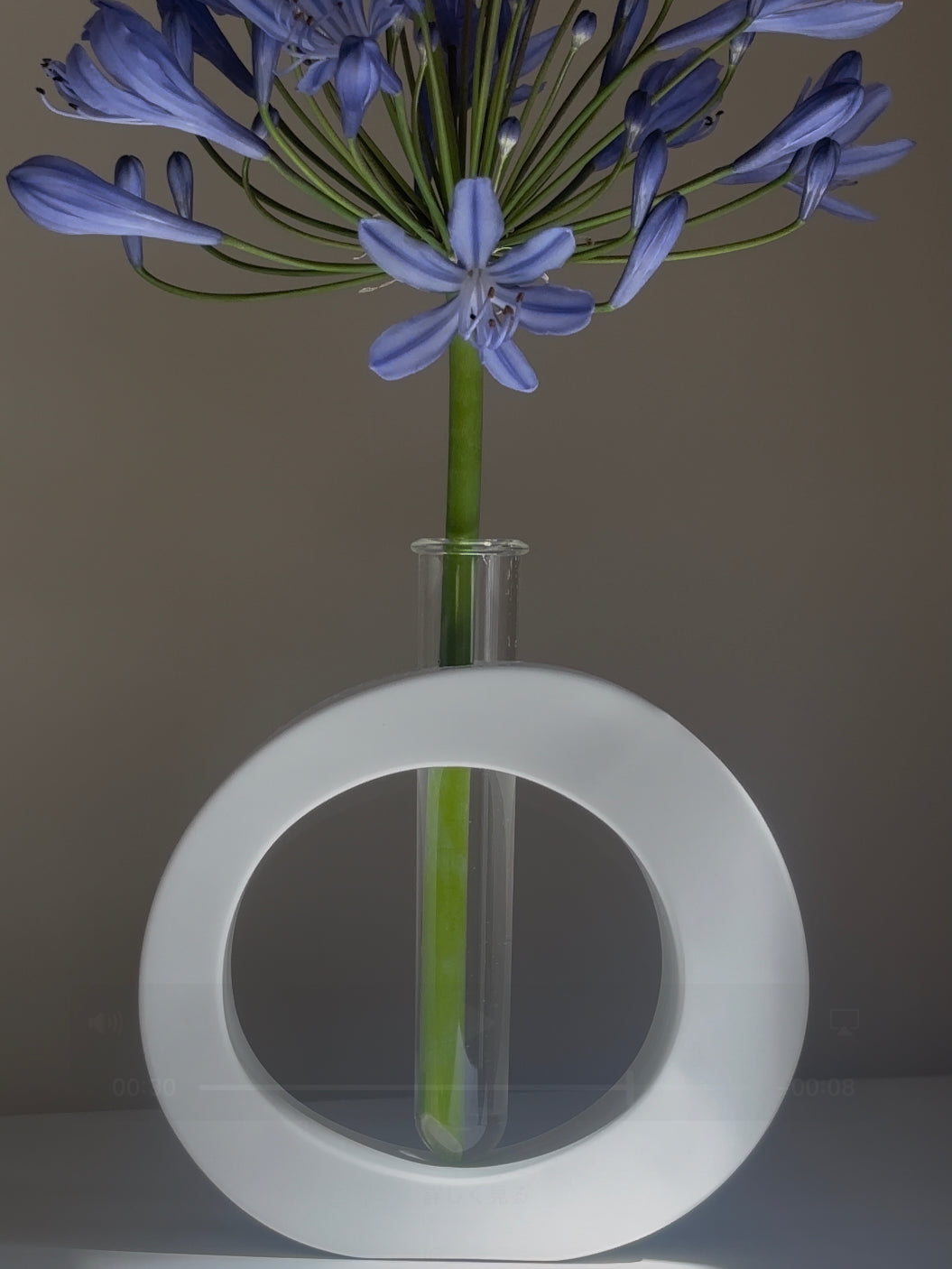 One – Circular Vase