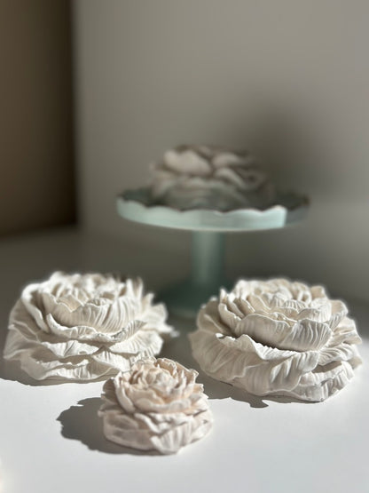 Aroma Stone Gift Set — Evening Serenity