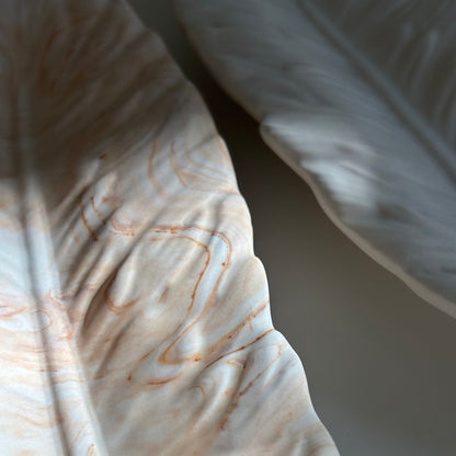 Quill – Feather Tray