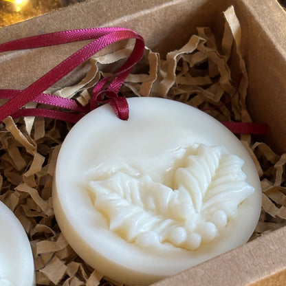 Winter Charms – Set of 2 (Unscented)